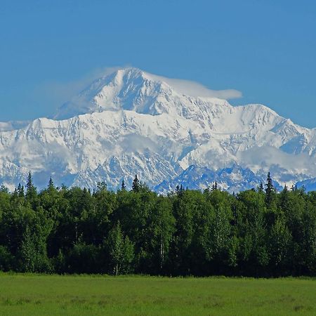 Mckinley View B&B Trapper Creek Exteriör bild