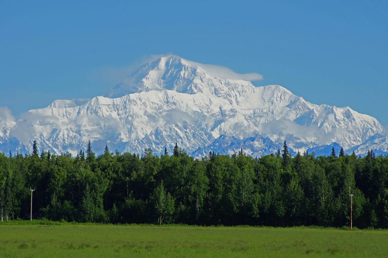 Mckinley View B&B Trapper Creek Exteriör bild